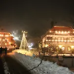 Szálloda & Restaurant Gruener Baum - Gruene Oase Am Feldberg