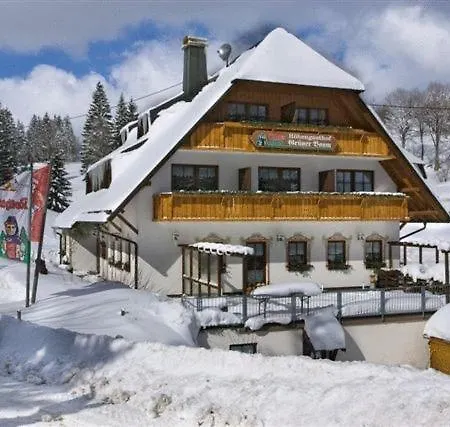 & Restaurant Gruener Baum - Gruene Oase Am Hotel