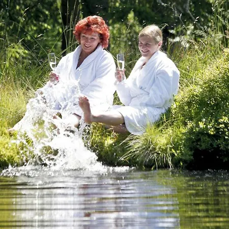 & Restaurant Gruener Baum - Gruene Oase Am 3* Feldberg (Baden-Wurttemberg)