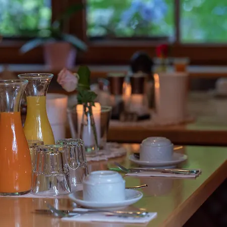 & Restaurant Gruener Baum - Gruene Oase Am Hotel Feldberg (Baden-Wurttemberg)