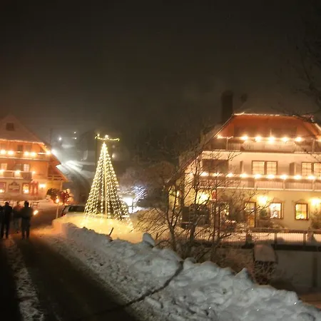 Hotel & Restaurant Gruener Baum - Gruene Oase Am Feldberg (Baden-Wurttemberg)