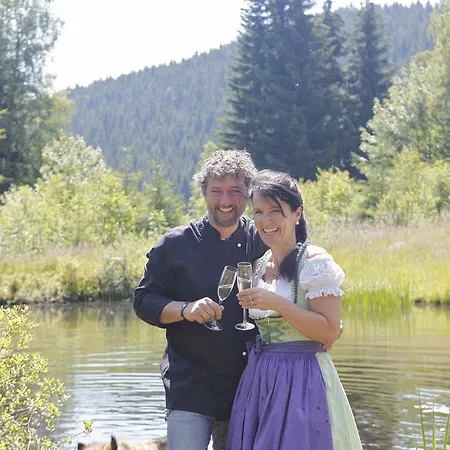 & Restaurant Gruener Baum - Gruene Oase Am Hotel 3*