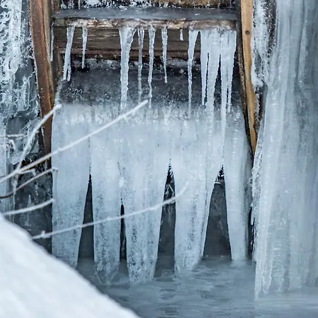 & Restaurant Gruener Baum - Gruene Oase Am Hotel Feldberg (Baden-Wurttemberg)